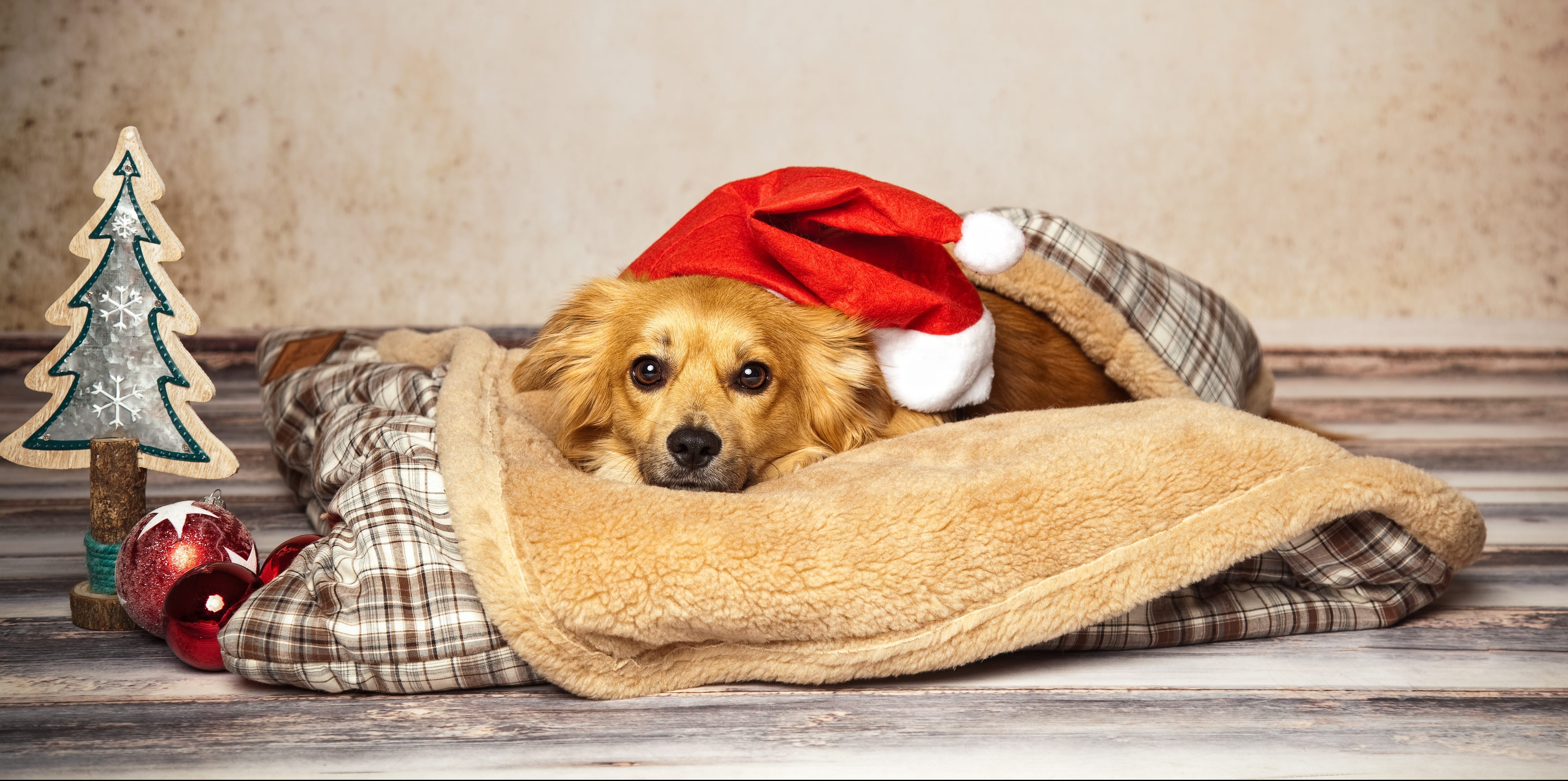 4 witzige Hunde Figuren Weihnachten - Hundefiguren als Geschenk für H